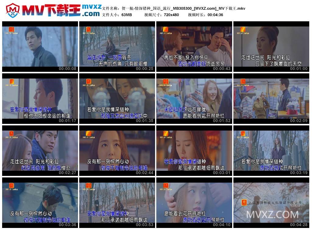 贺一航-情深错种_国语_流行_MB305300